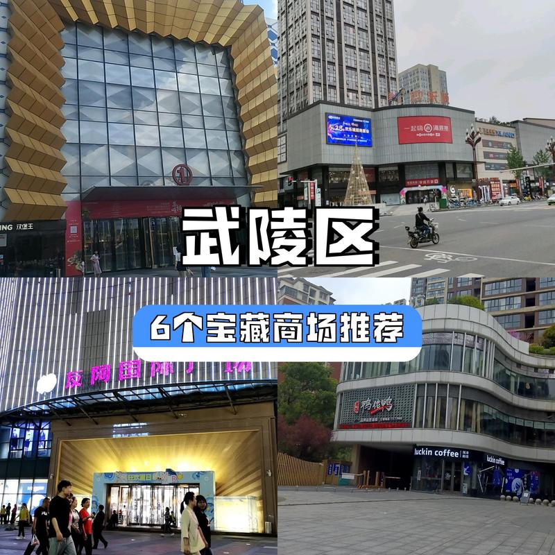 武陵区购物